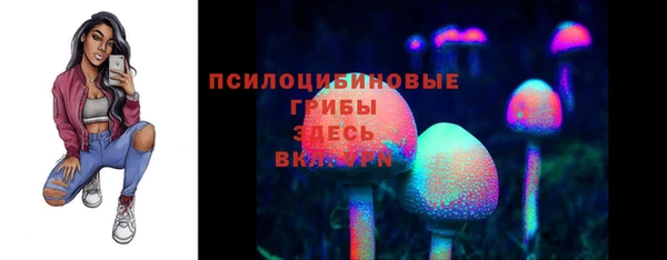 синтетический гашиш Алексеевка