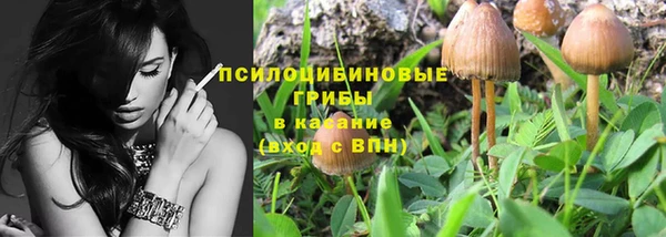 синтетический гашиш Алексеевка