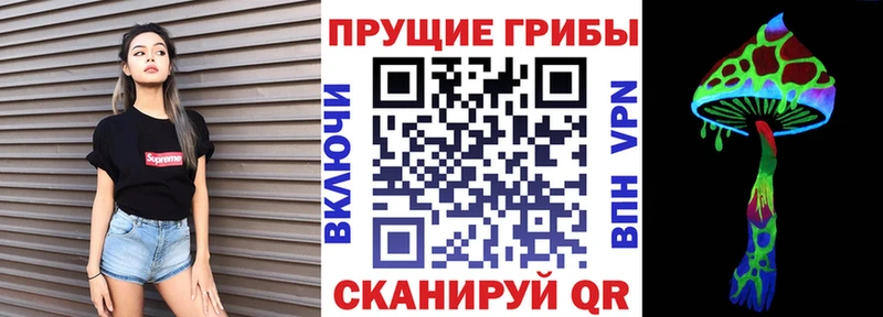закладки  ОМГ ОМГ как войти  Галлюциногенные грибы прущие грибы  площадка какой сайт  Новопавловск 