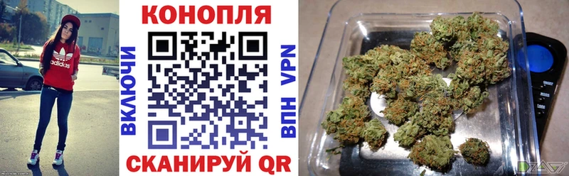 где найти наркотики  Новопавловск  Бошки Шишки сатива 